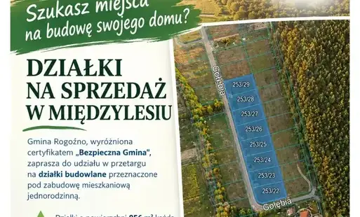 Zdjęcie do Szukasz miejsca na budowę swojego domu? Sprawdź działki na sprzedaż w Międzylesiu!