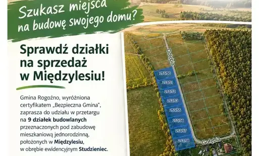 Zdjęcie do Szukasz miejsca na budowę swojego domu? Sprawdź działki na sprzedaż w Międzylesiu!