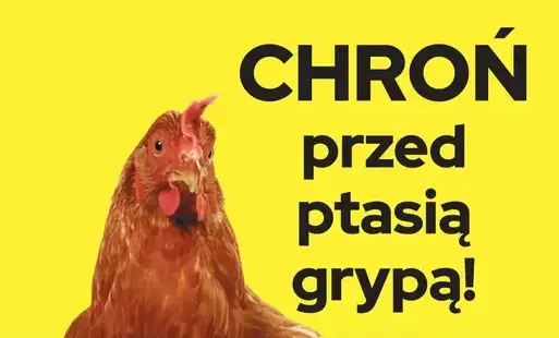 Zdjęcie do Informacje dot. przeciwdziałaniu rozprzestrzeniania się ptasiej grypy