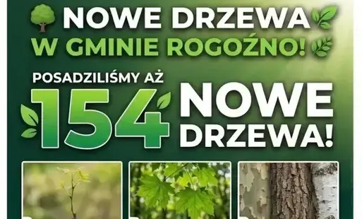 Zdjęcie do 154 nowych drzew w Gminie Rogoźno! 