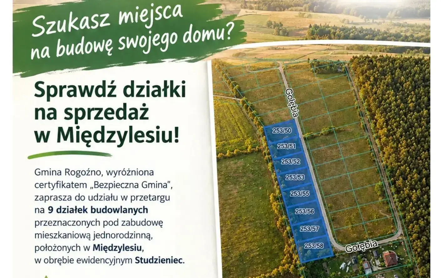 Zdjęcie artykułu z dnia 19-10-2026