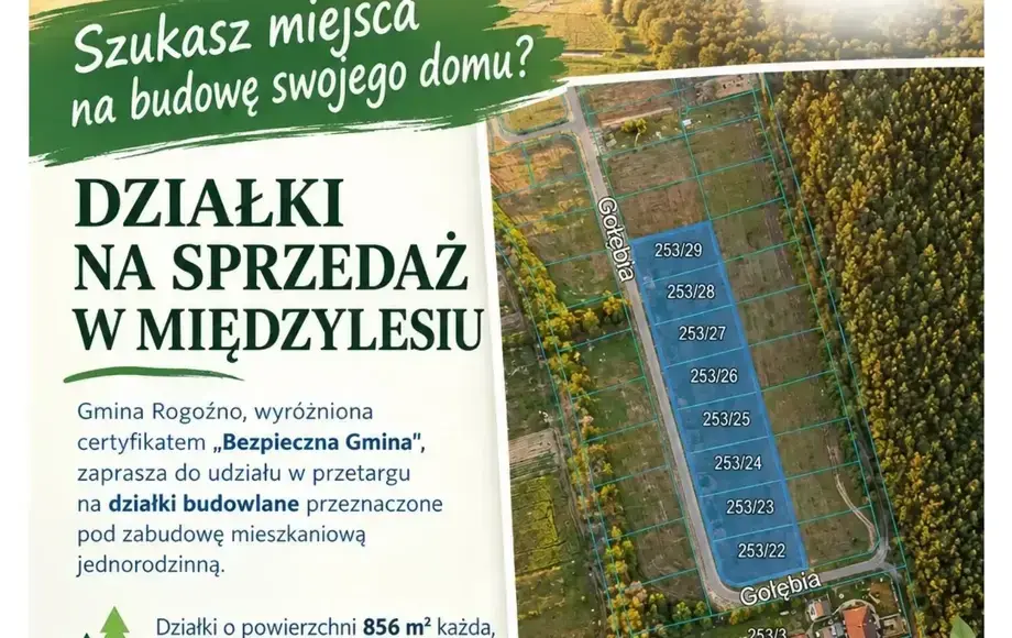 Przetarg na działki budowlane w Międzylesiu