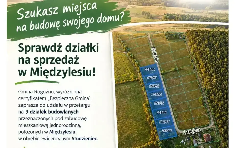 Przetarg na działki budowlane w Międzylesiu